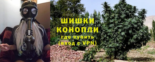 меф Арсеньев