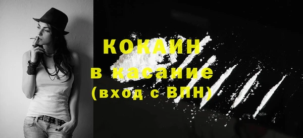 меф Арсеньев